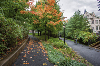 Pathway on Yale campus amongst bushes, fall trees, and a bike path