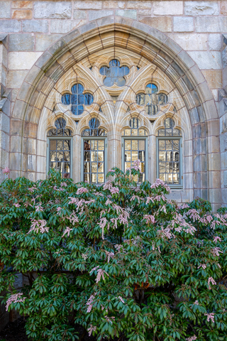 Intricate gothic windows in spring