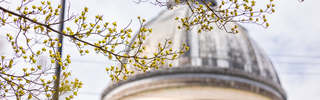 The dome of Woolsey Hall behind delicate tree branches adorned with spring buds